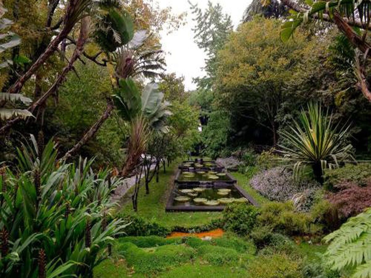 Maison typique Furnas, à 190m du Parque Terra Nostra - Photo 37