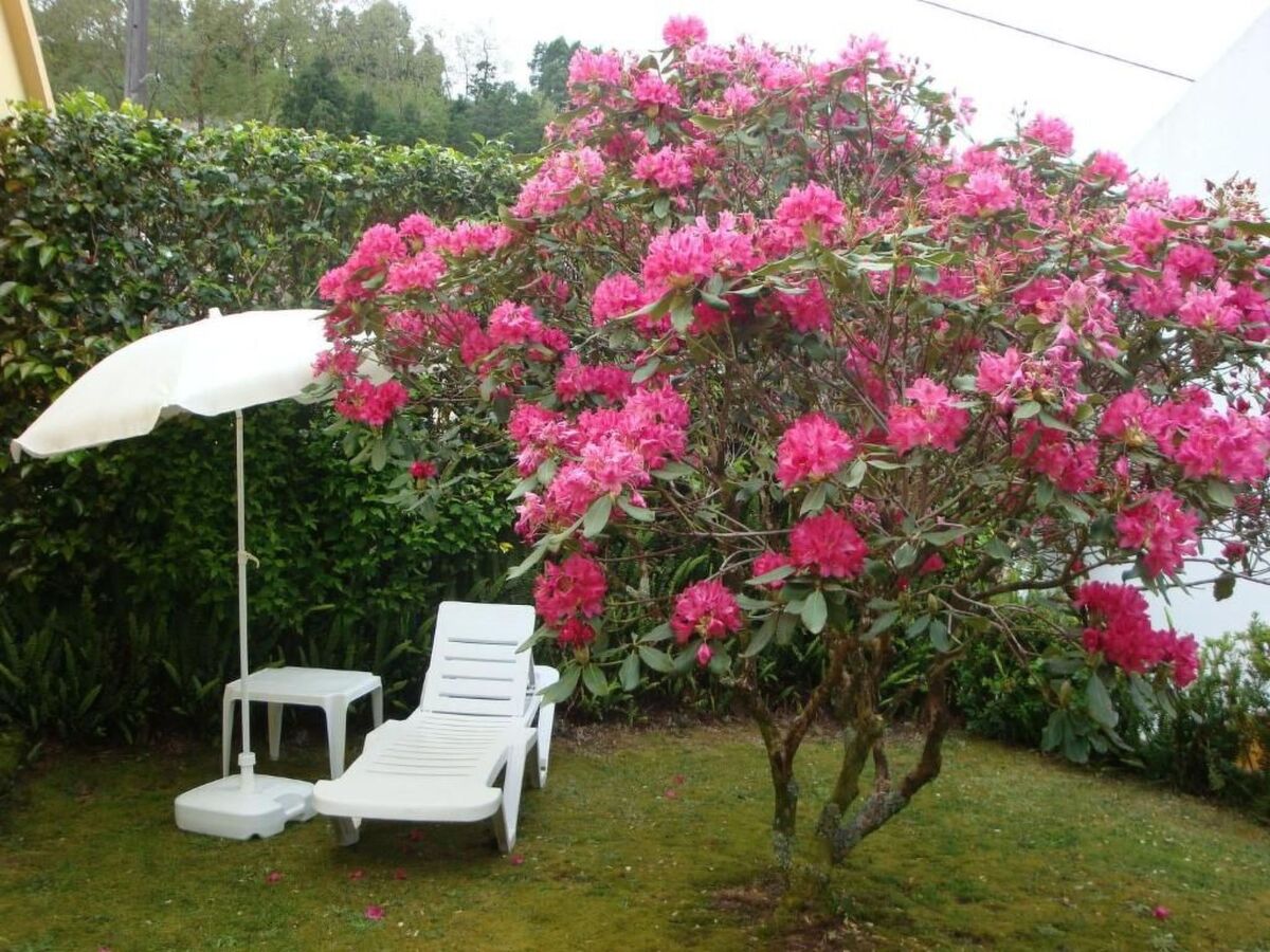 Maison rustique Furnas : jardin privé, 4 pers. - Photo 32