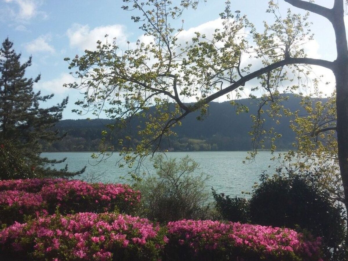 Maison rustique Furnas : jardin privé, 4 pers. - Photo 38