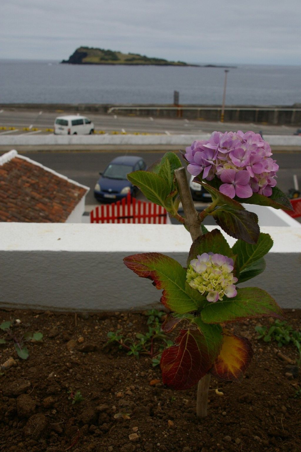 Beach Mill – Maison authentique 6 pers., Luz - Photo 25