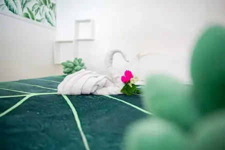 Villa spacieuse avec piscine privée à Le Vauclin - Photo 44