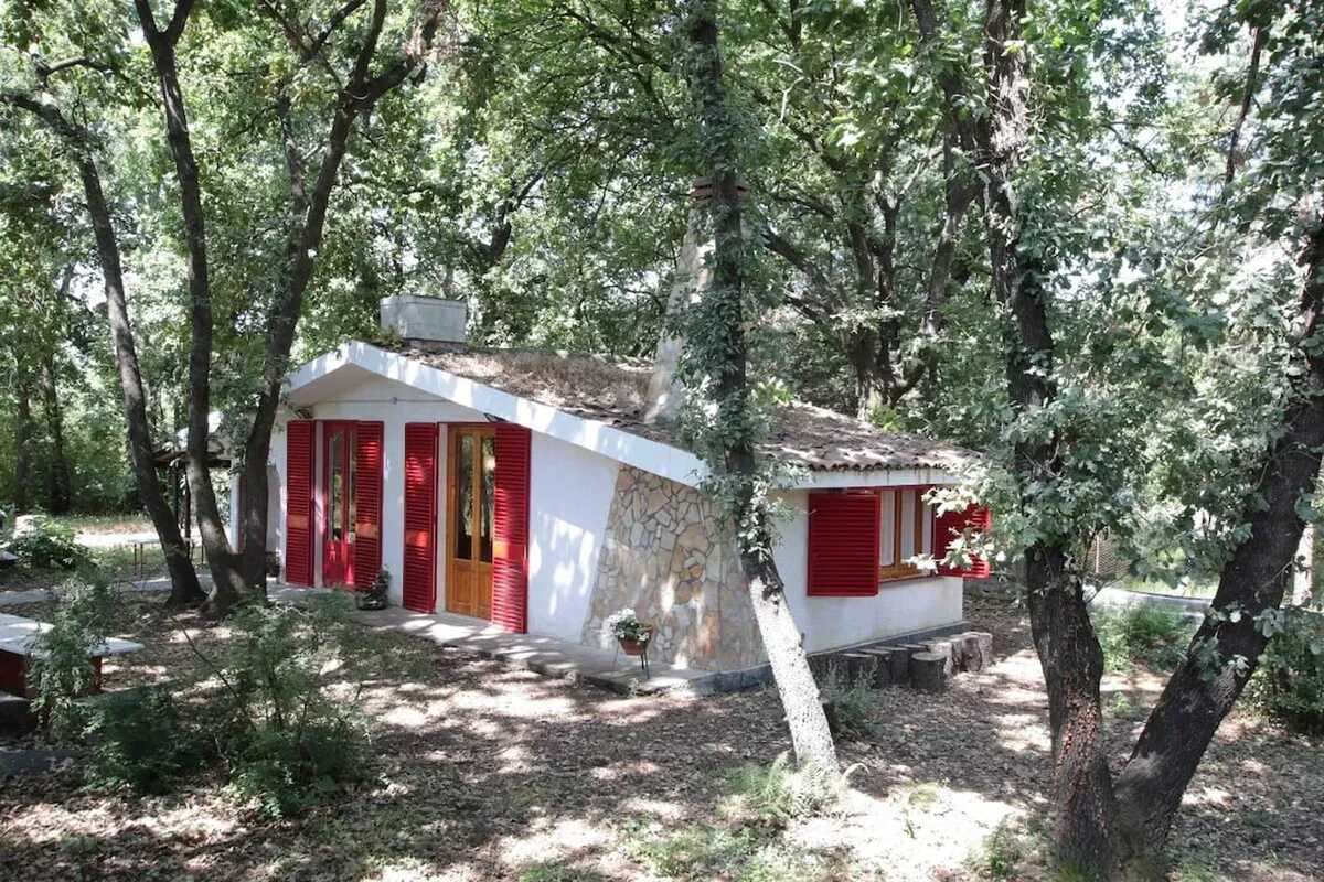Chalet 32 m² avec jardin clôturé à Lavinaio - Photo 1