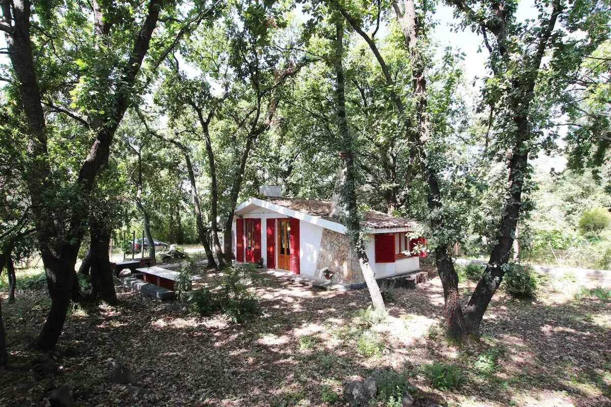 Chalet 32 m² avec jardin clôturé à Lavinaio - Photo 13