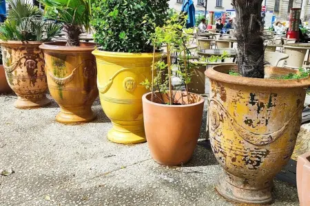 Maison Mirabeau : piscine privée aux portes des Cévennes : photo 33
