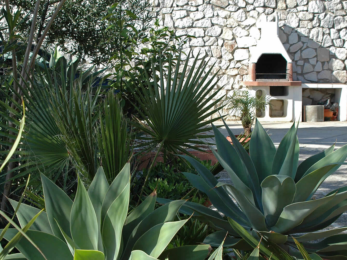 Villa La Palma à Mijas : piscine 8x4m, jardin tropical, vue mer - Photo 9