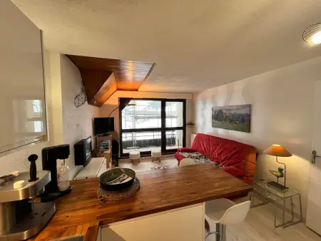 Appartement rénové à Méaudre, terrasse vue montagne : photo 9