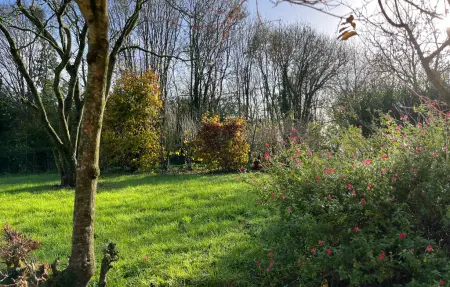 Maison en pierre avec jardin à Heugueville-sur-Sienne : photo 11