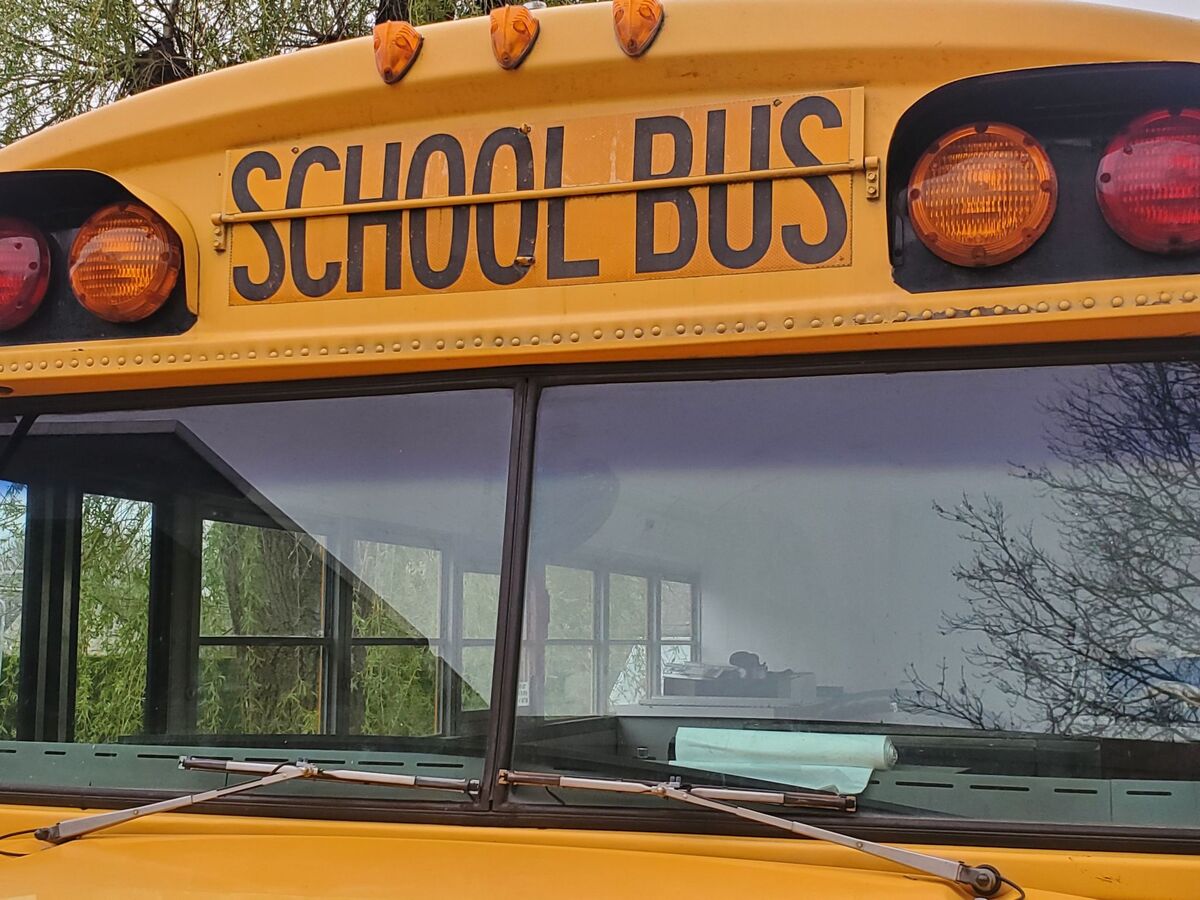 Bus scolaire américain authentique, séjour insolite à Walcourt - Photo 4