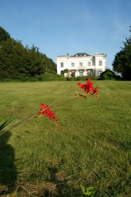 Château restauré 8 personnes à Couvin avec spa : photo 43