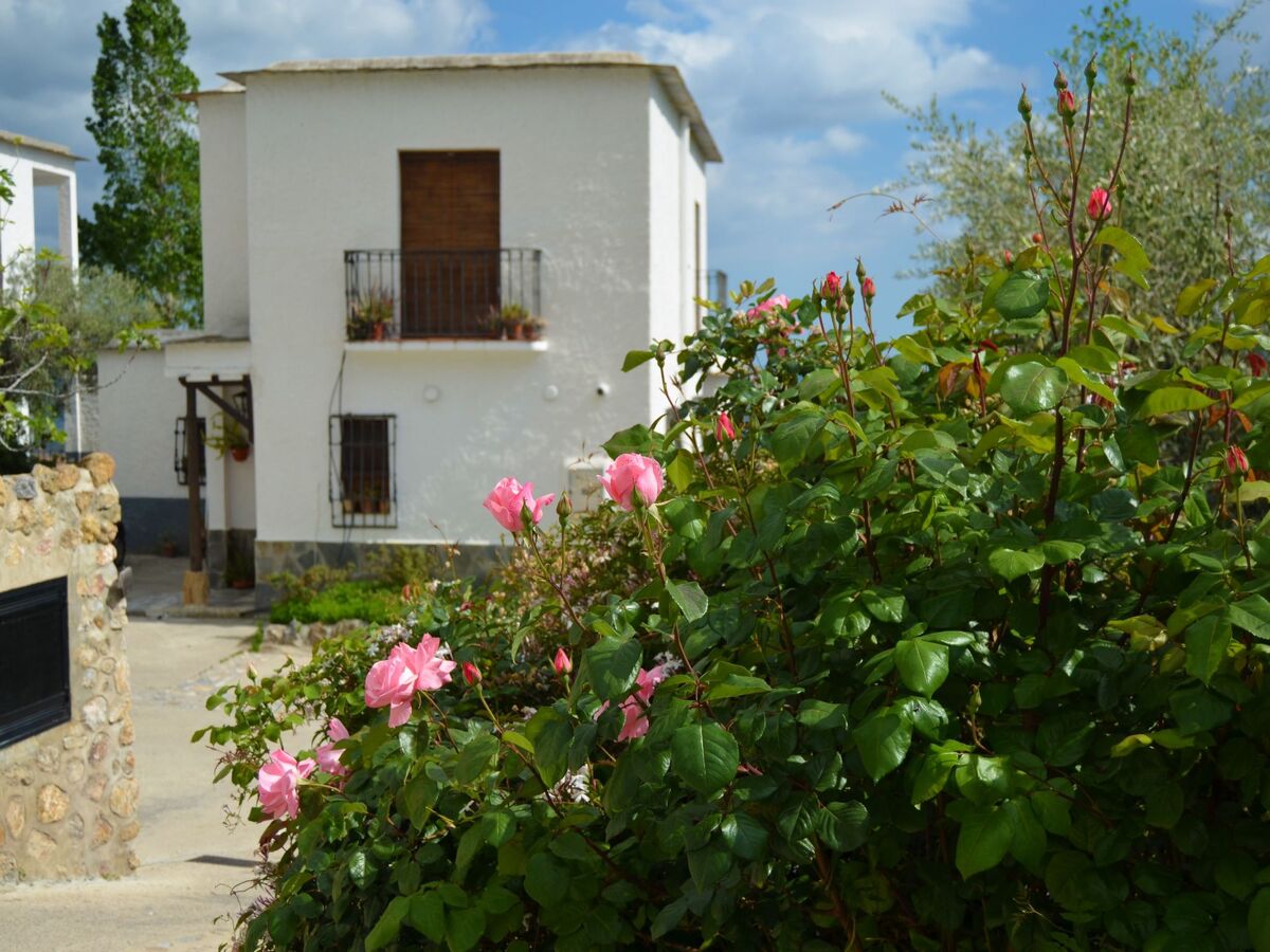 Maison 8 pers. à Valor avec piscine et vue Sierra Nevada - Photo 23