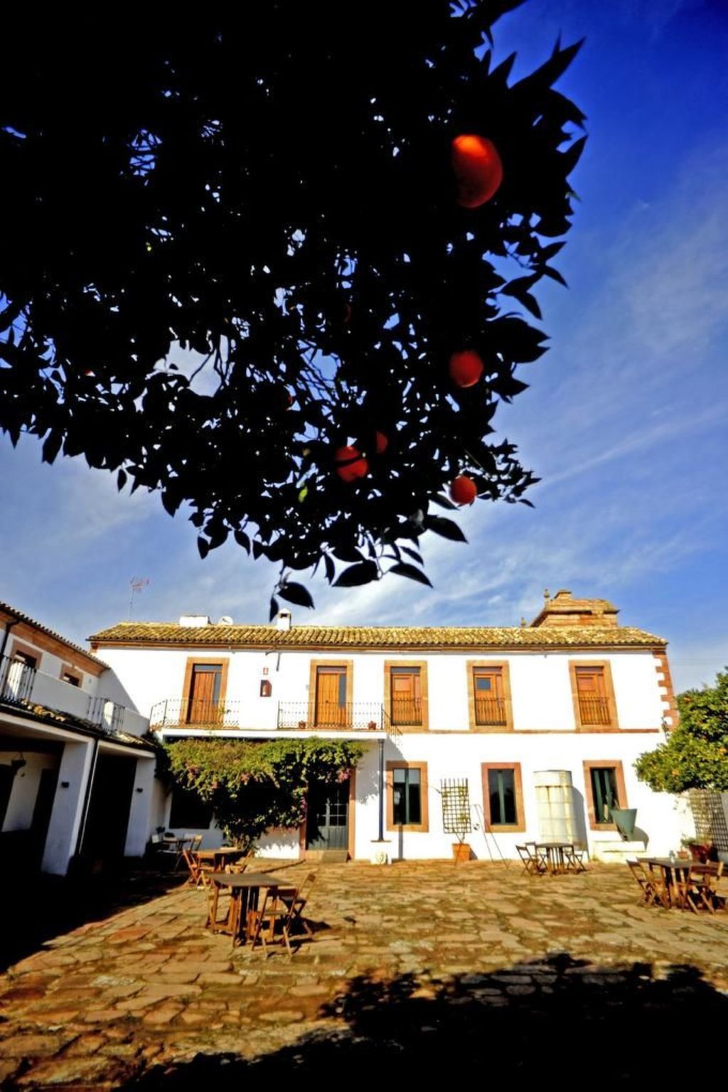 Zimmer Molino la Nava, moulin du XVIIIe à Montoro - Photo 19