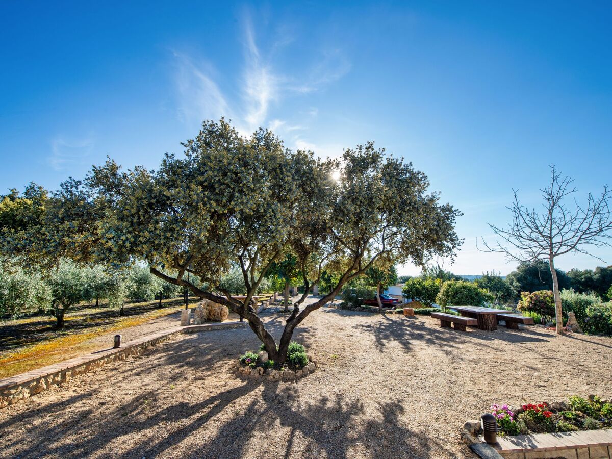Maison rurale avec piscine privée à Almodóvar del Río - Photo 29