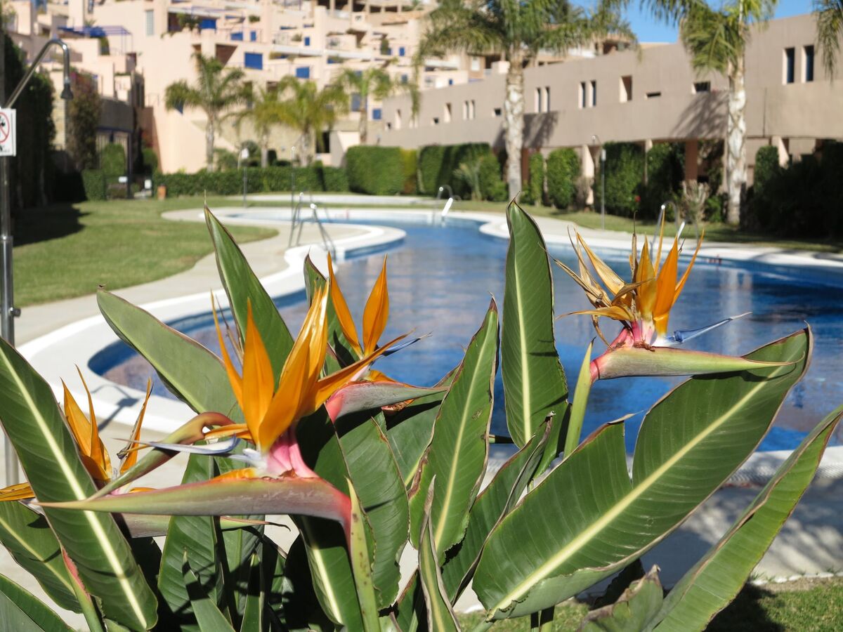 Penthouse Atalaya – 180° vue mer à Mojácar - Photo 22