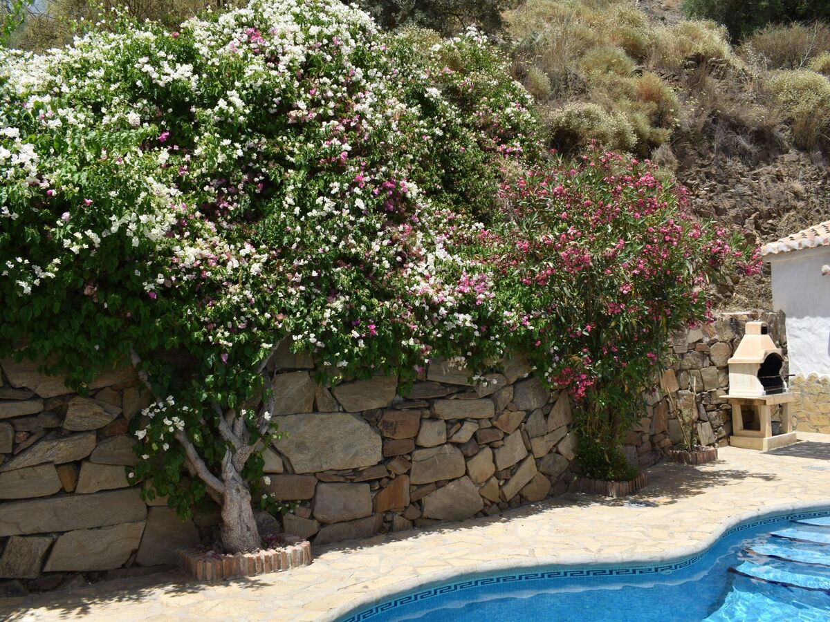 Finca Hornillo, maison 6 pers. avec piscine privée - Photo 33