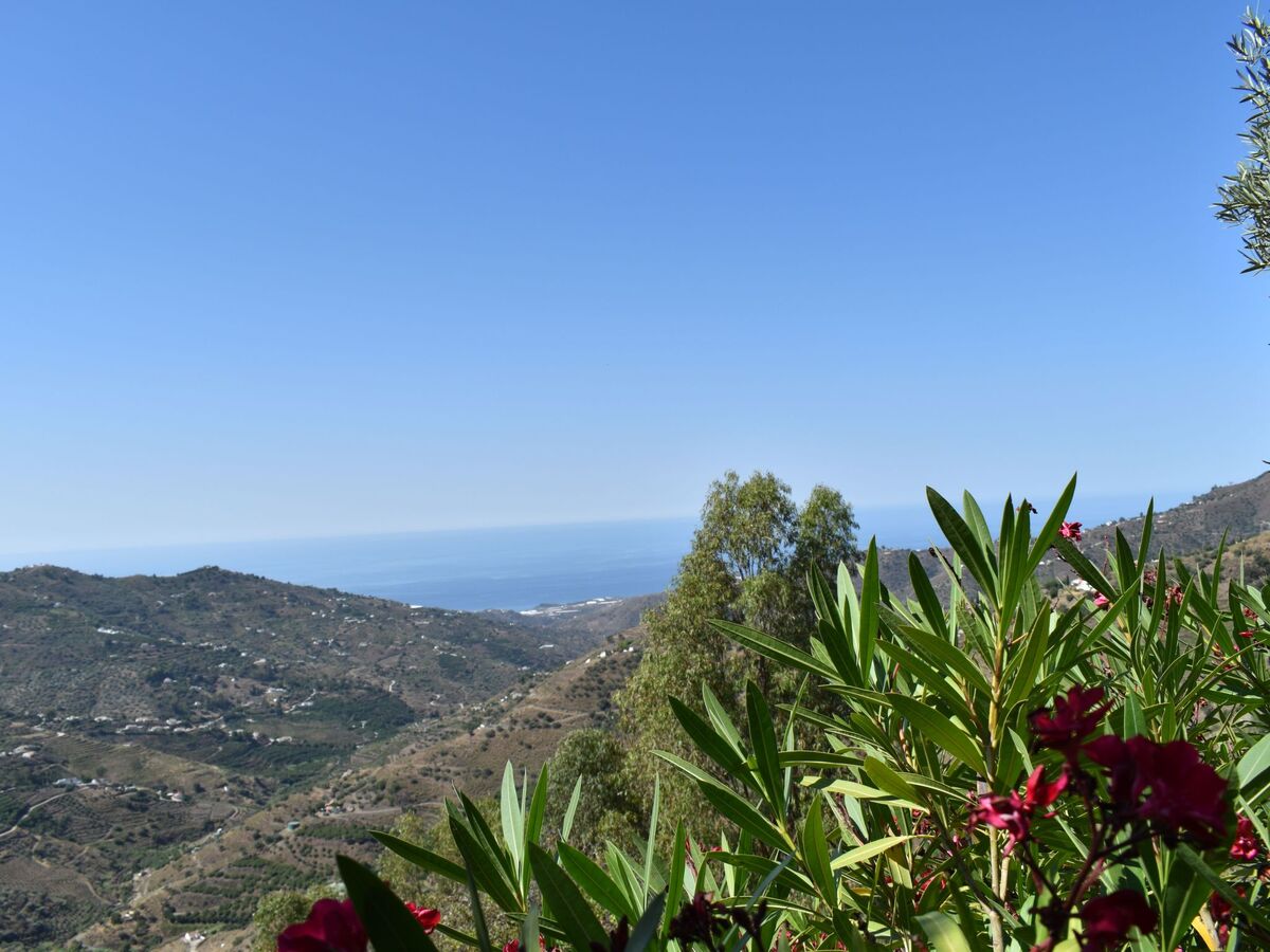 Finca Algarabia avec pool privé, Competa - Photo 23