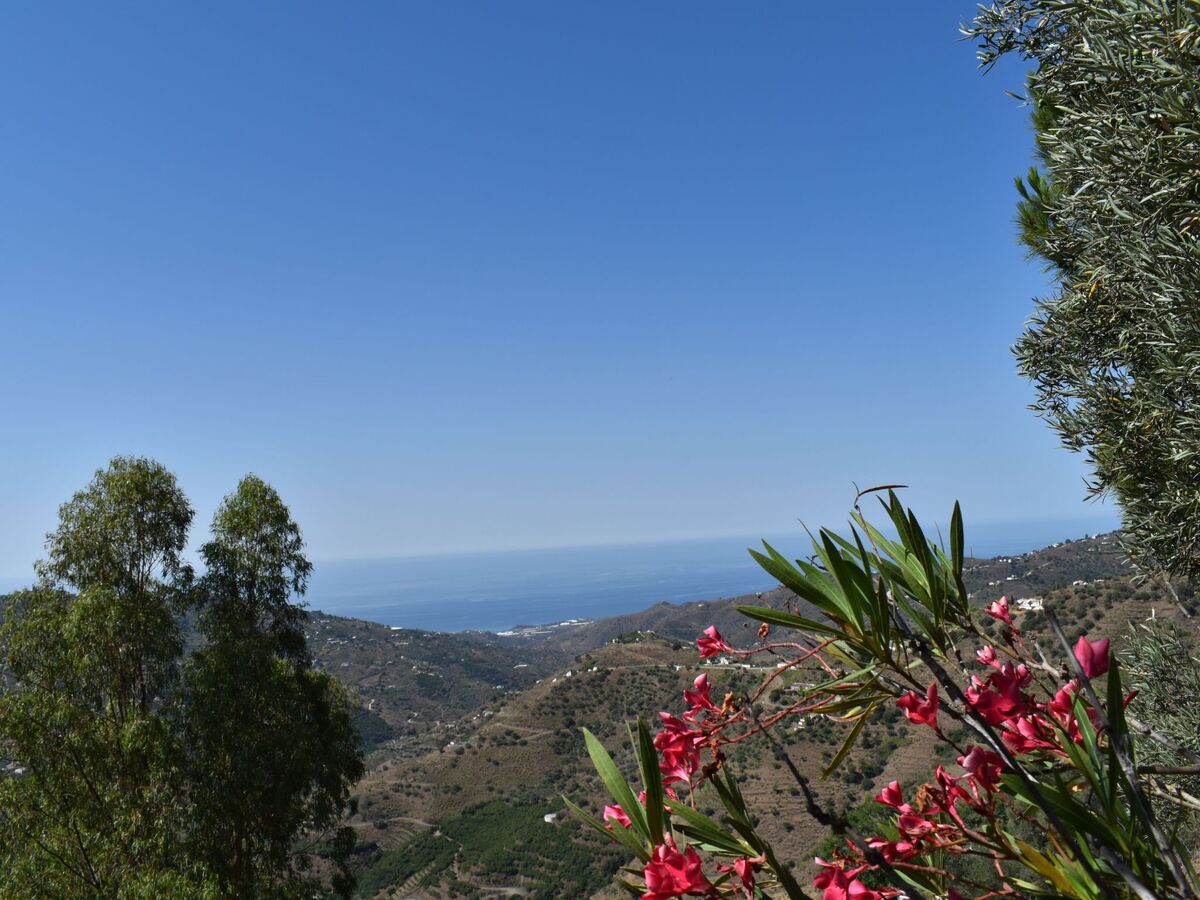 Finca Algarabia avec pool privé, Competa - Photo 24