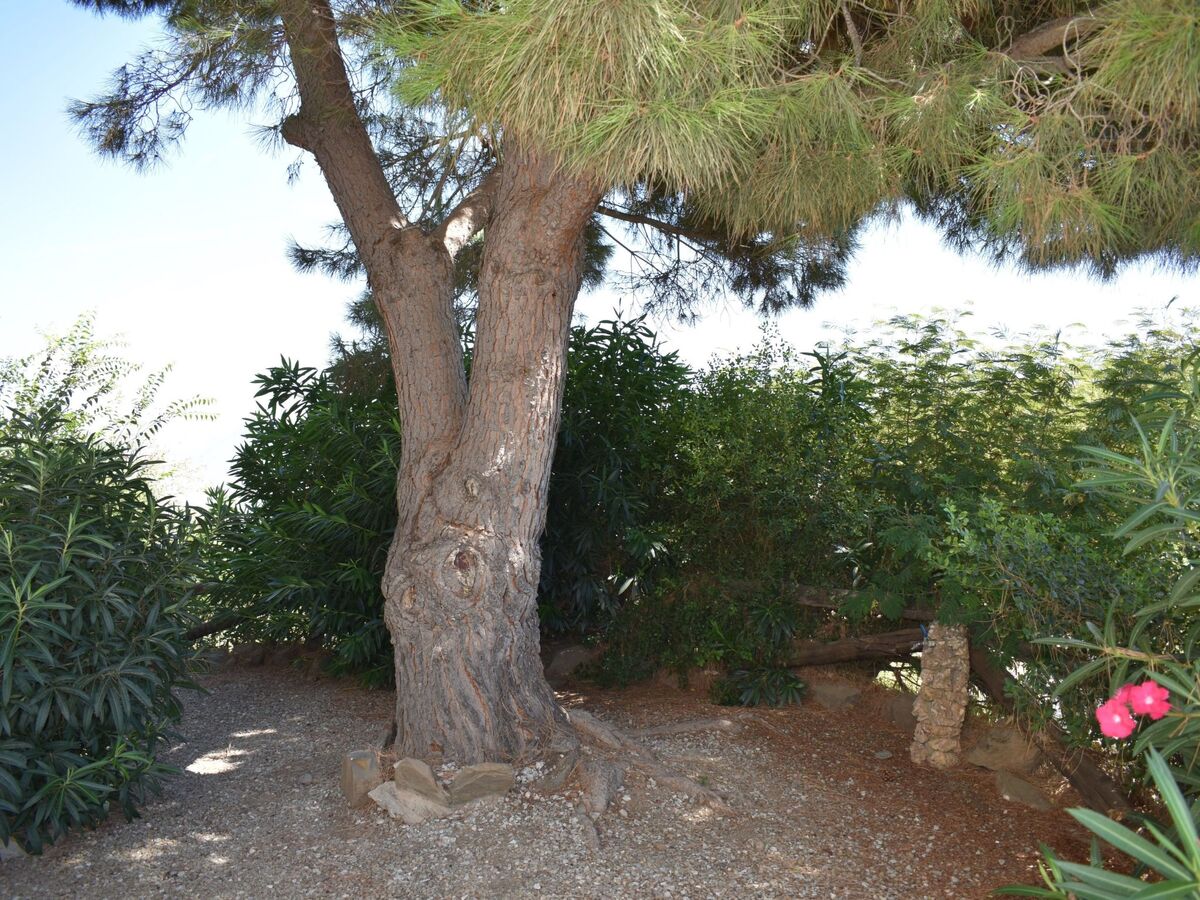 Finca Carrulo avec piscine privée à Competa - Photo 32