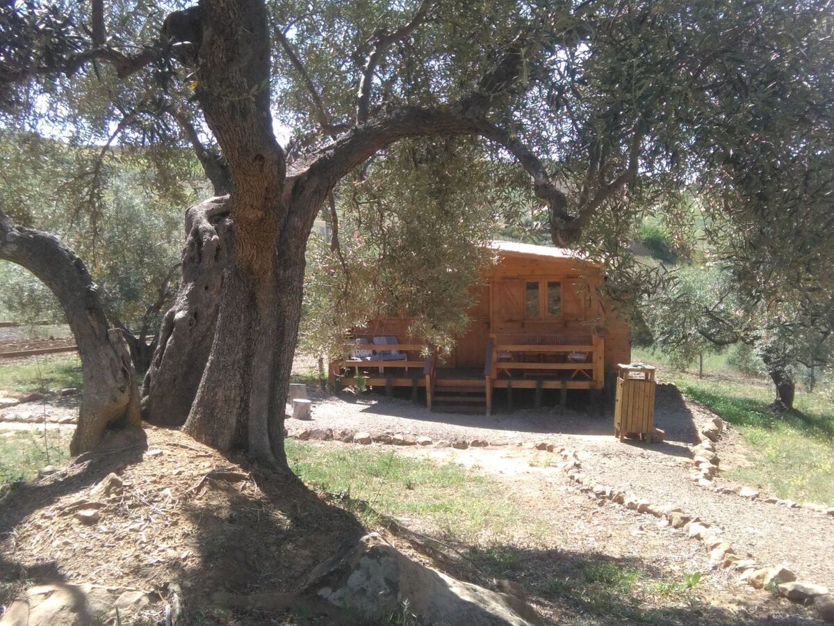Maison de montagne 4 pers. avec jardin, terrasse et piscine - Photo 12