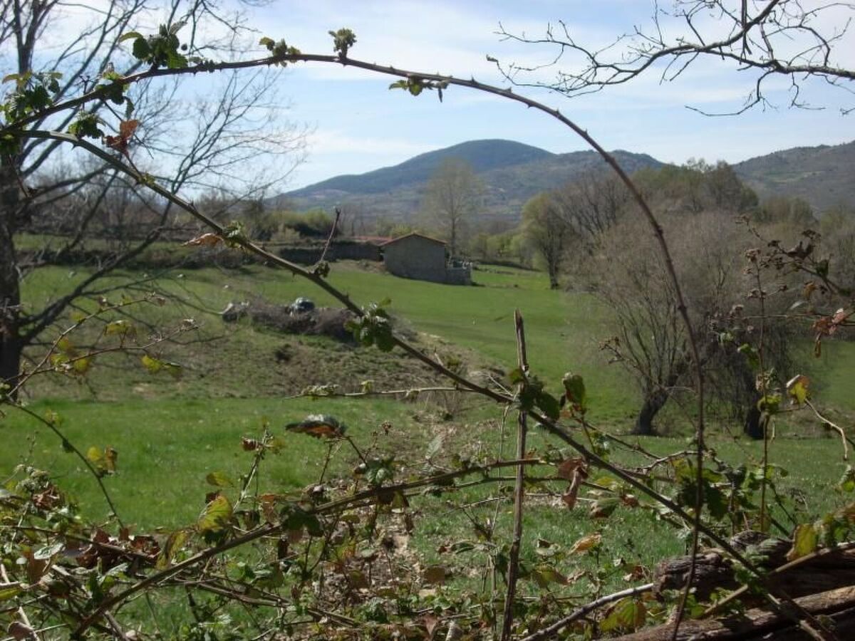 Der Corral de las Pilas – Maison 1779 en Sierra Gredos - Photo 19