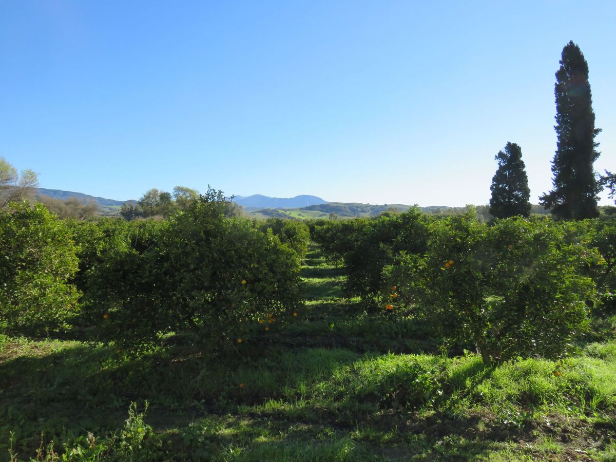 Finca Los Pájaros : appartement 5 pers. près parc naturel - Photo 23