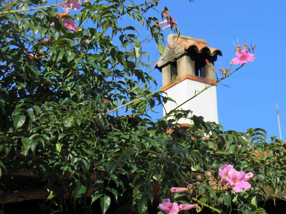 Finca Los Pájaros : appartement 5 pers. près parc naturel - Photo 25