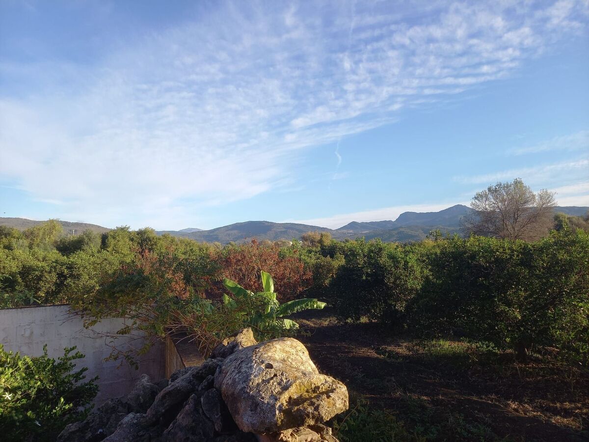 Finca Los Pájaros : appartement 5 pers. près parc naturel - Photo 27