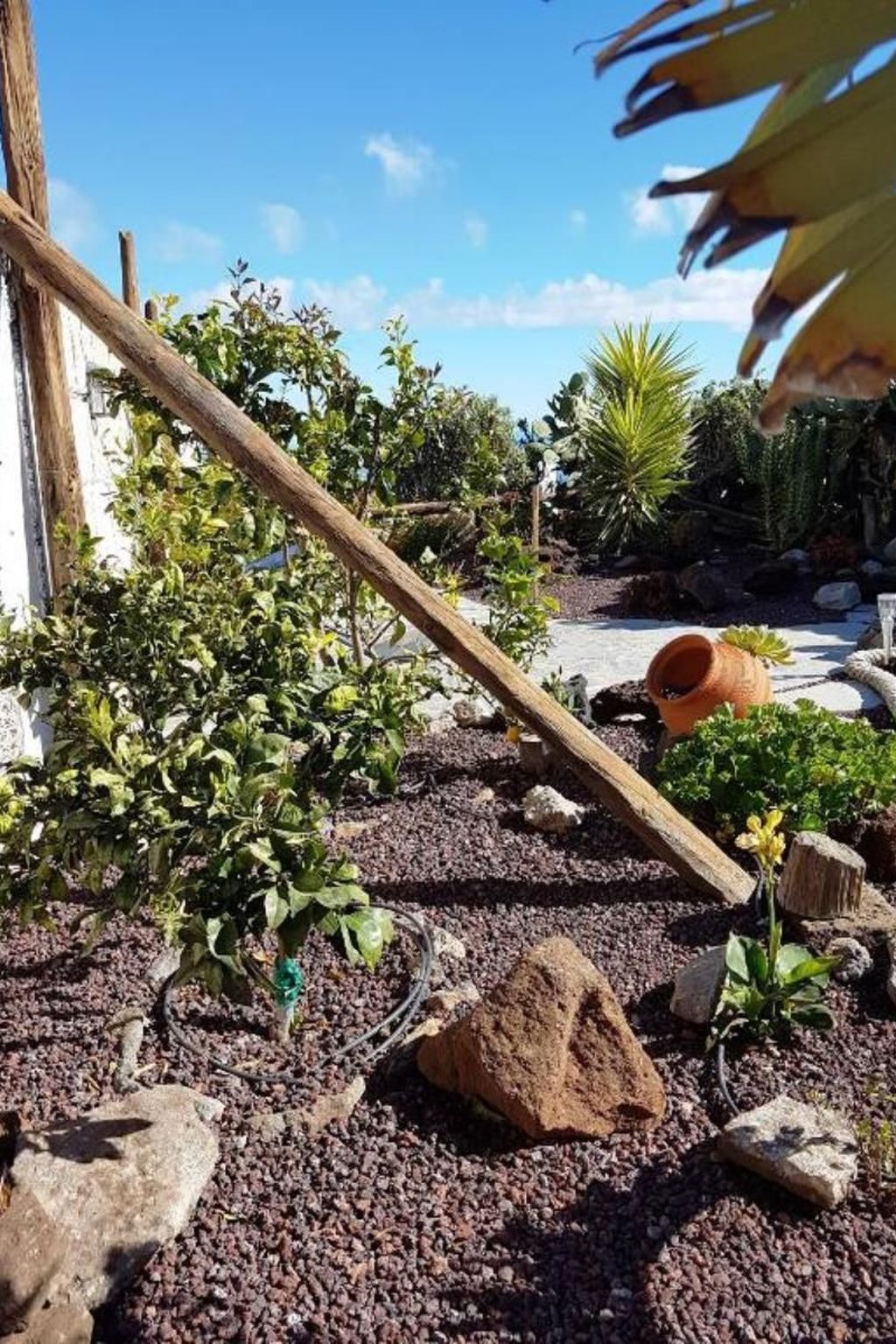 Maison typique canarienne avec jacuzzi à Arico - Photo 12