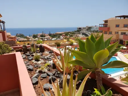 Appartement 3 ch Costa Adeje, terrasse vue mer : photo 4