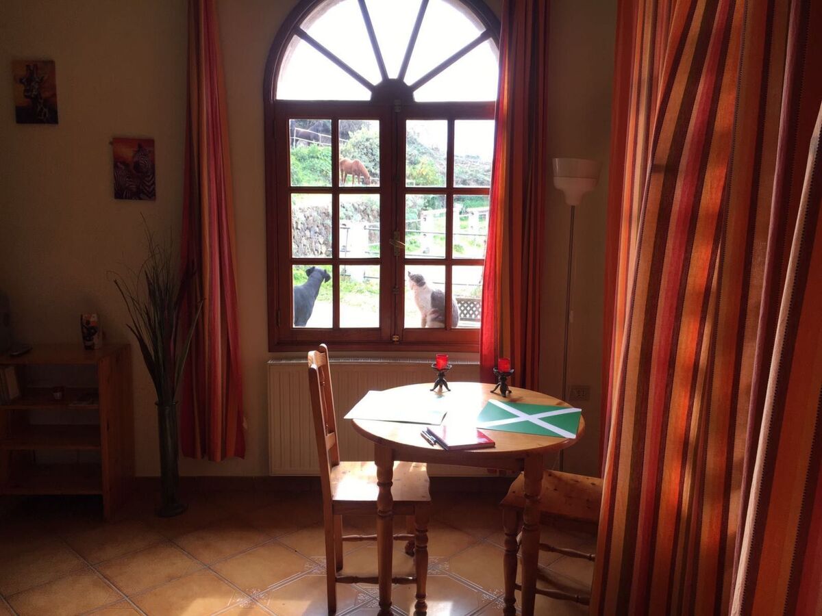 Studio 40m² avec piscine partagée à Tamaide - Photo 3