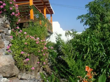 Casa Flores Alcalá – Appartement 3 chambres avec terrasse : photo 10
