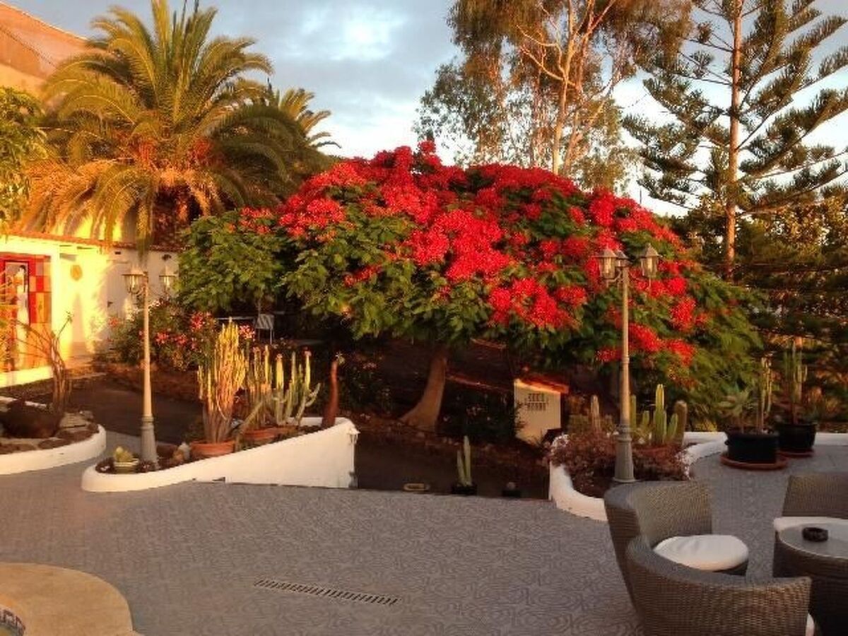 Casa Lodge Alcalá – Maison 4 pers. vue océan Tenerife - Photo 37