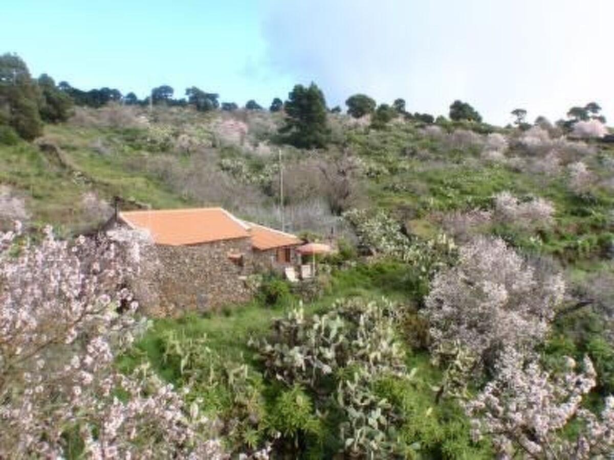 Maison de charme à 900 m d'altitude à El Pinar - Photo 1