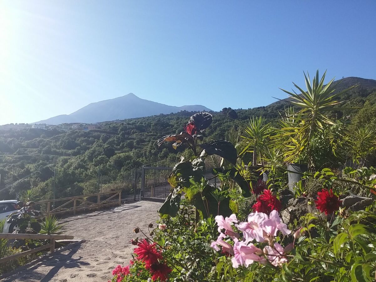 Maison écologique 3 chambres, vue Teide à Tenerife - Photo 12