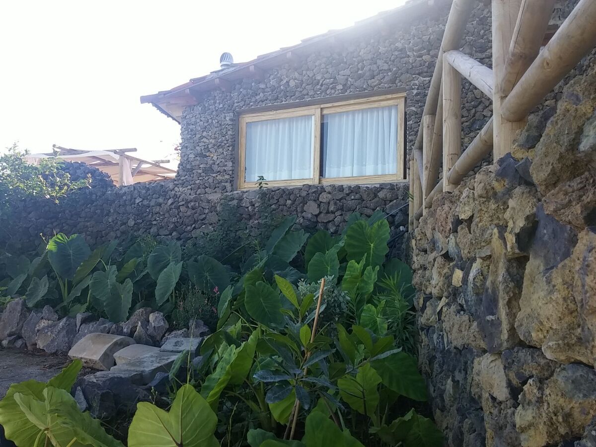 Maison écologique Tenerife, 6 pers. vue Teide - Photo 4