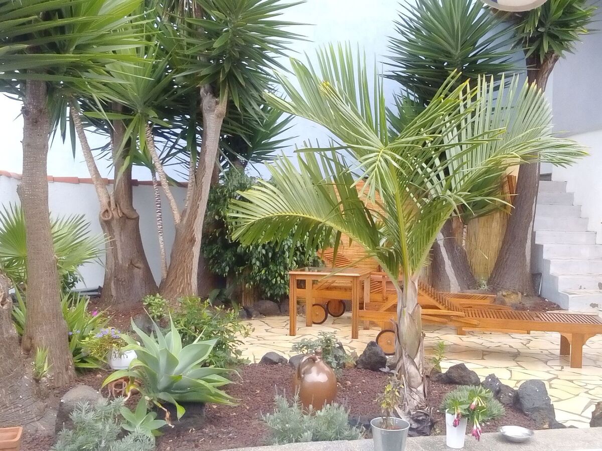 Appartement 50 m² avec terrasse 120 m² à Buen Paso - Photo 10