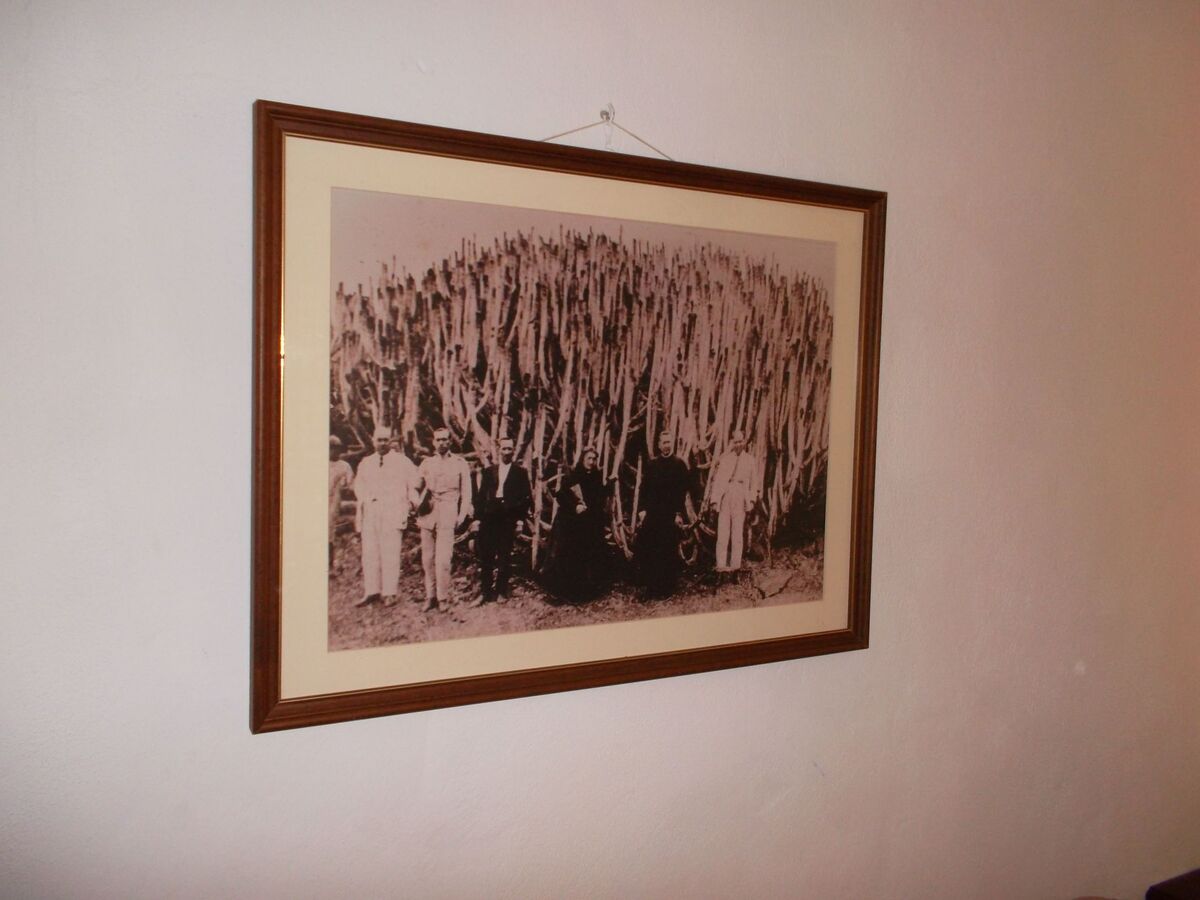 Maison El Cardón B1 à Buenavista del Norte - Photo 9