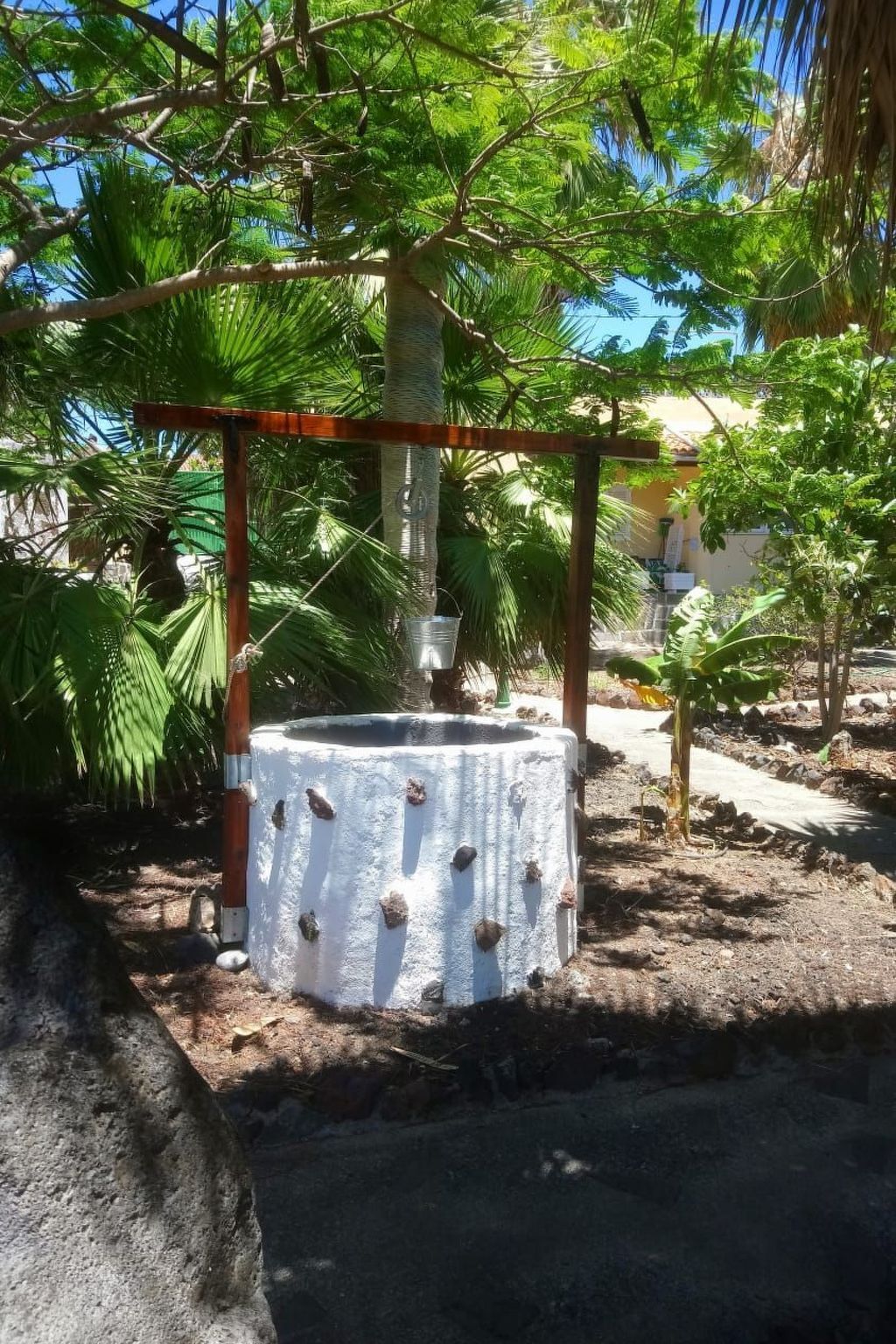 Maison El Cardón B1 à Buenavista del Norte - Photo 10
