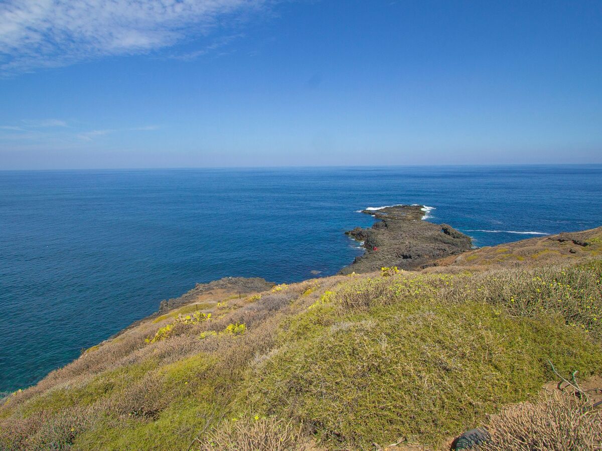 Appartement Garachico, à 100 m de la mer avec jardin - Photo 16