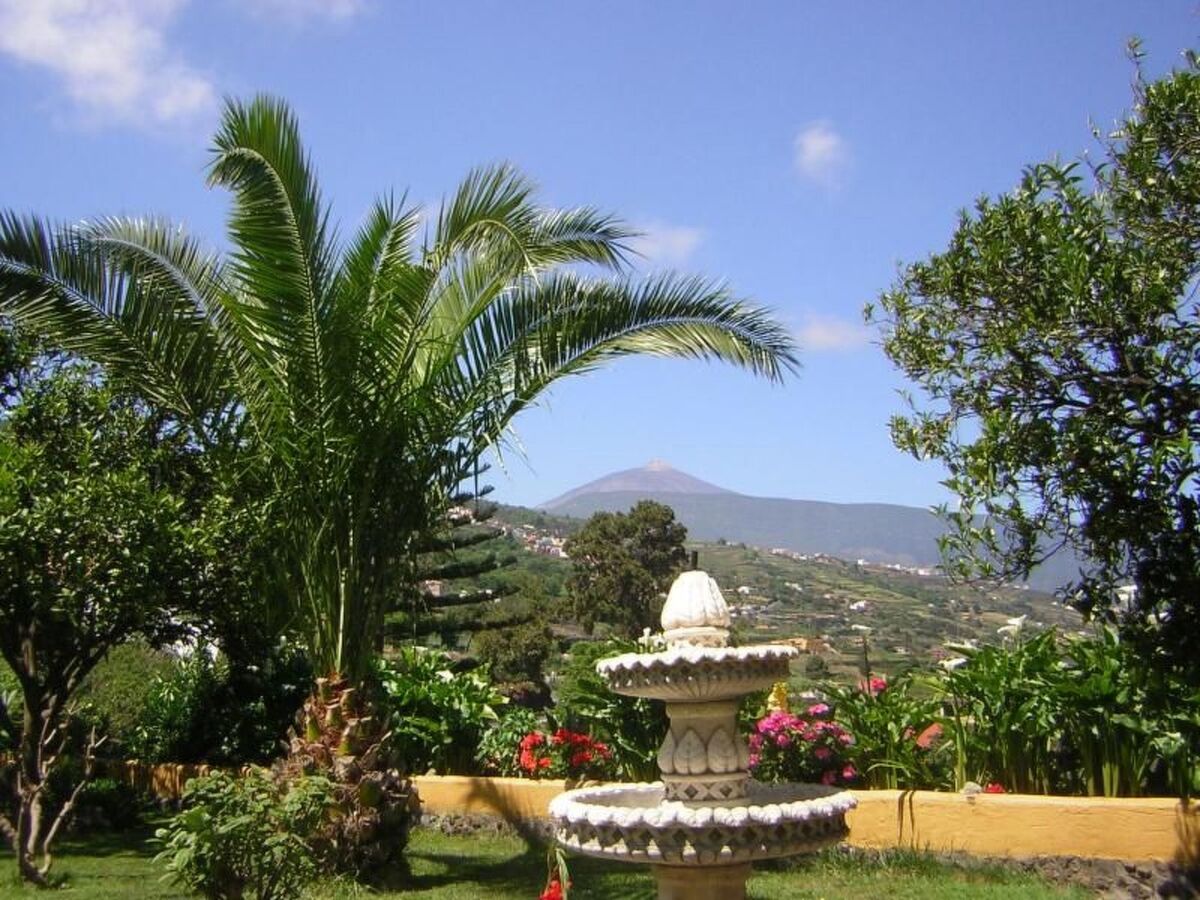 Maison de maître canarien de 1826 à La Orotava - Photo 12