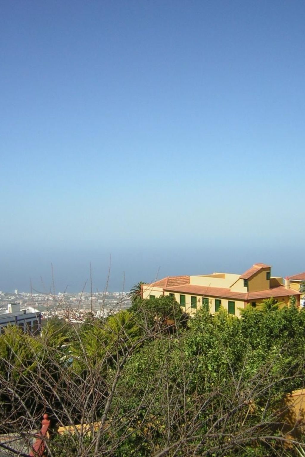 Maison de maître canarien de 1826 à La Orotava - Photo 16