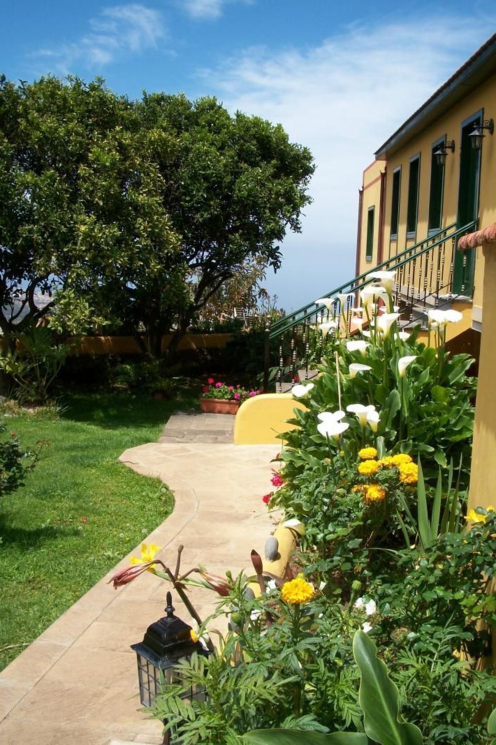 Maison de maître canarien de 1826 à La Orotava - Photo 19