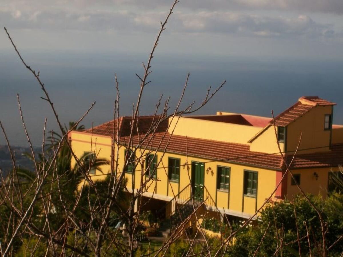 Maison de maître canarien de 1826 à La Orotava - Photo 22