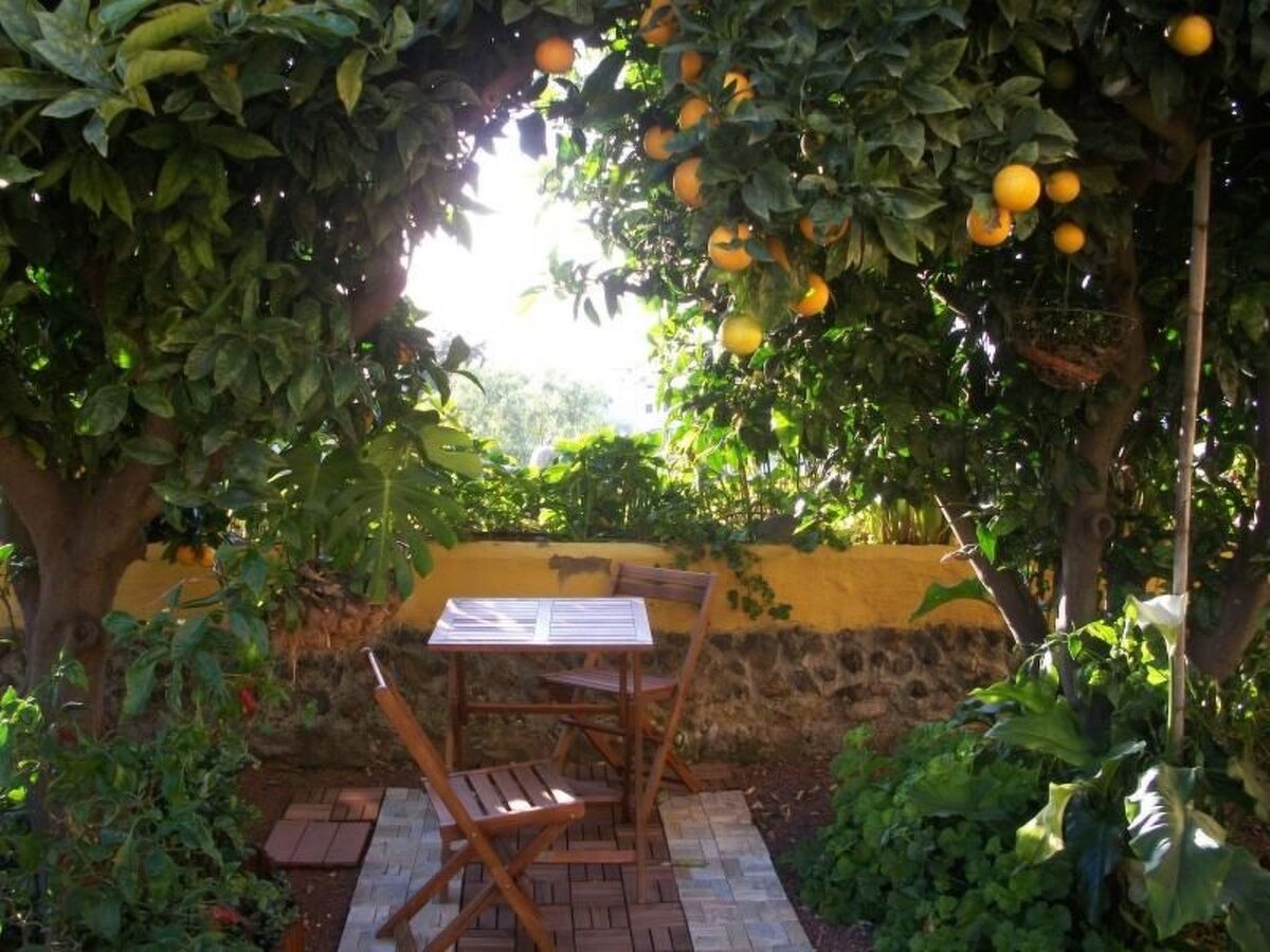 Maison de maître canarien de 1826 à La Orotava - Photo 24
