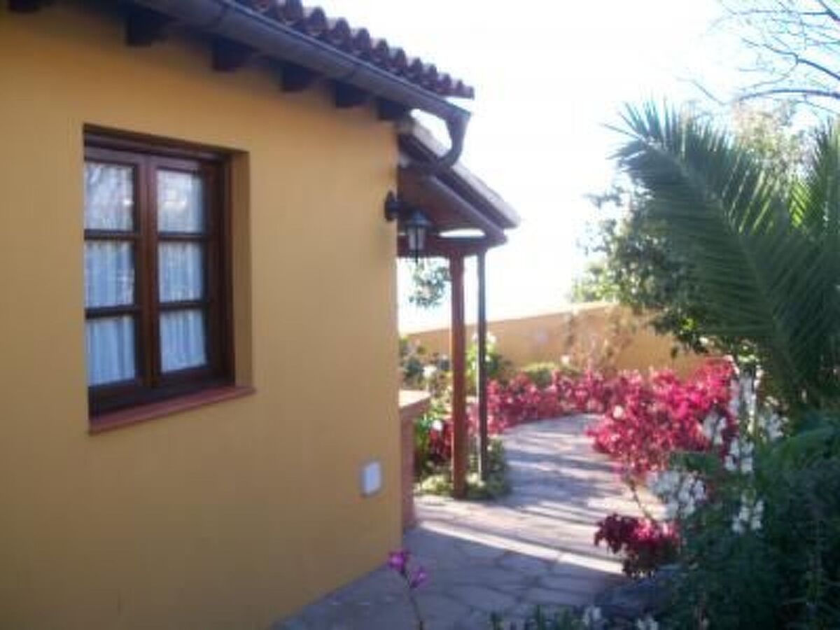 Maison typique canarienne avec terrasse, barbecue et piscine - Photo 1