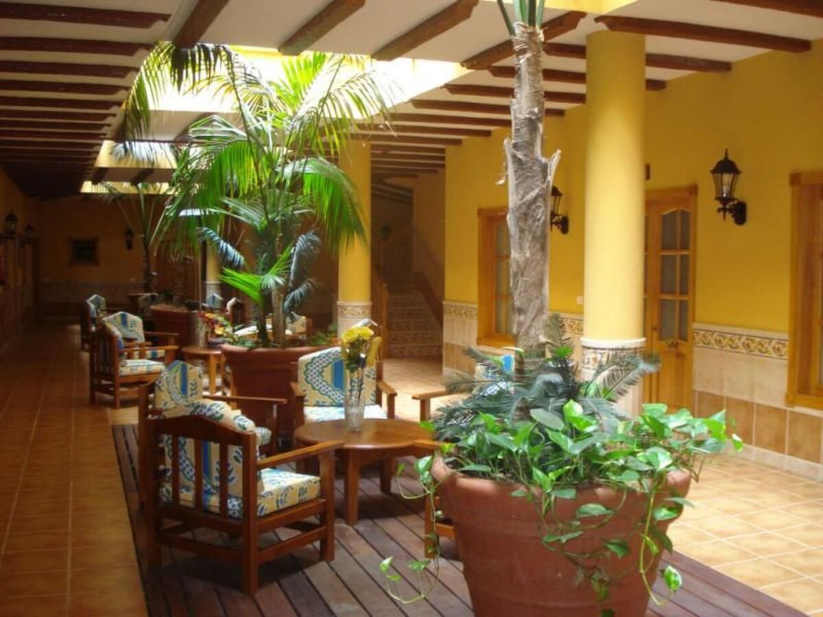 Appartement penthouse Icod de los Vinos, vue mer - Photo 9