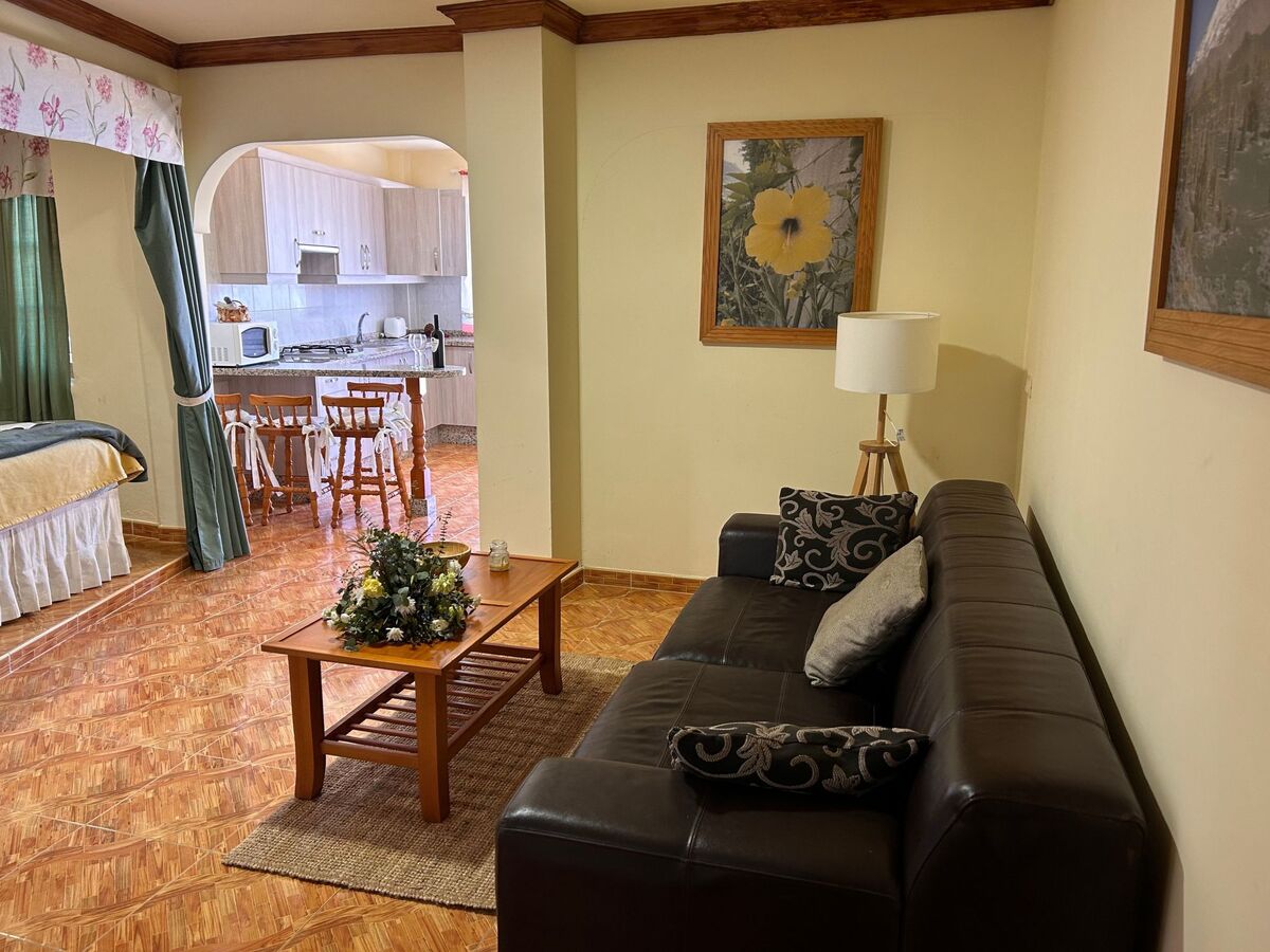 Appartement 2 chambres avec terrasse et vue mer, Icod de los Vinos - Photo 28
