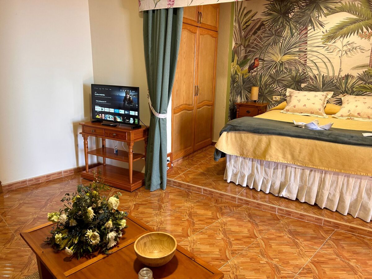 Appartement 2 chambres avec terrasse et vue mer, Icod de los Vinos - Photo 29