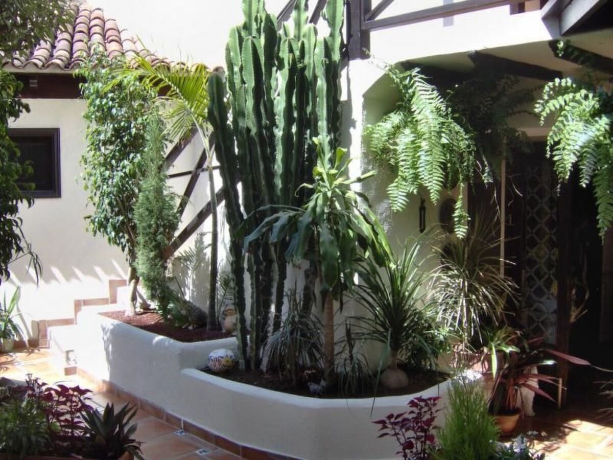 Appartement vue mer à Icod de los Vinos - Photo 21