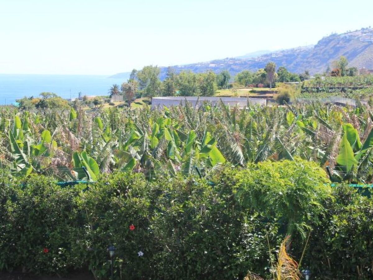 Finca Paraiso, maison 4 pers. vue Teide et mer - Photo 6