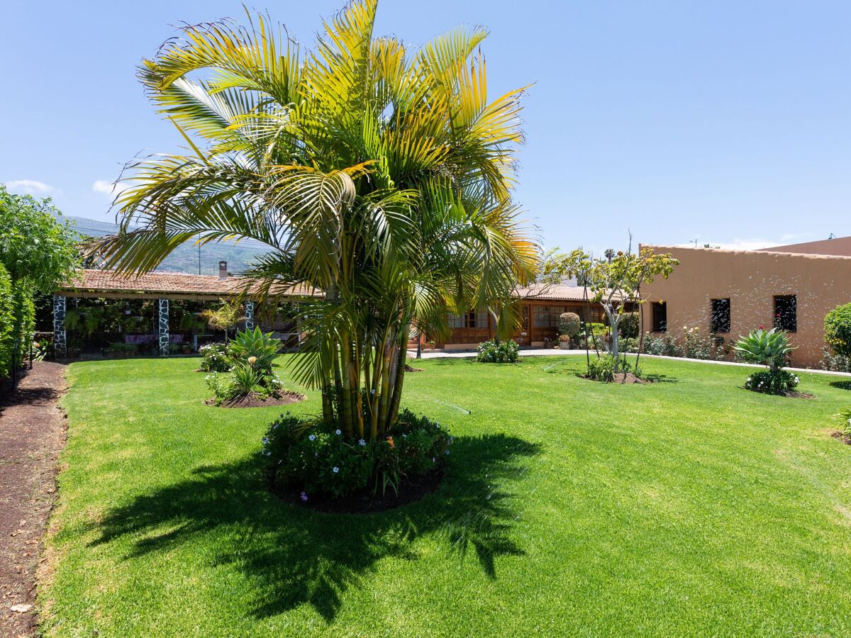 Finca Paraiso, maison 4 pers. vue Teide et mer - Photo 8